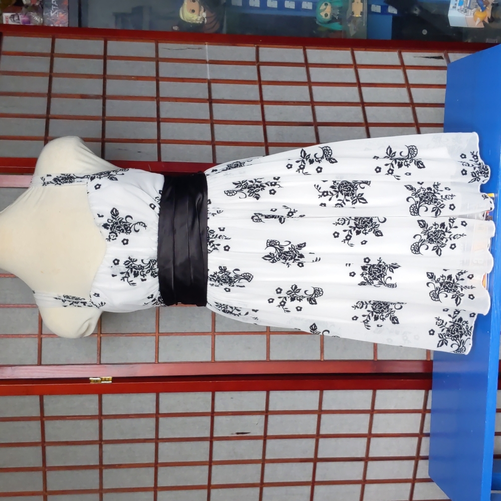 Trixxi Black and White Dress